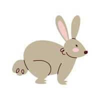 gray rabbit farm animal character vector