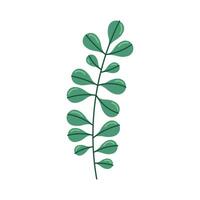 branch with leafs foliage icon vector