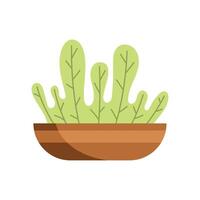 planta de casa en plato naturaleza icono vector