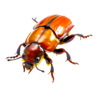 Ladybird Insect AI Generative png