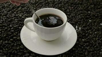 hand- Holding koffie roeren lepel in wit kop Aan tafel. zwart koffie in wit kop geïsoleerd Aan achtergrond van geroosterd koffie bonen. video