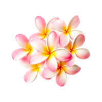 ljus rosa blomma ai generativ png