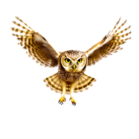 hibou dessin animé ai génératif png