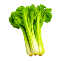 Celery leaves AI Generative png