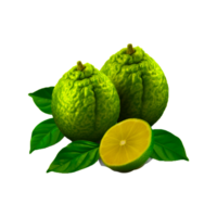 Fresh bergamot with green leaves png