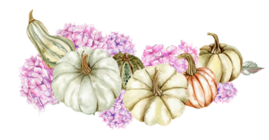 Fall composition with pink hydrangea and pumpkins. png