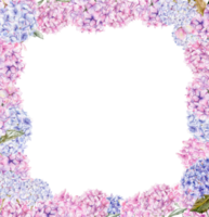 Autumn square frame with blue and pink hydrangea. png