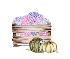Fall composition with pink hydrangea and pumpkins. png