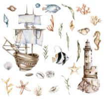 watercolor set of seashells, seahorse, starfish, bubbles png