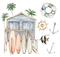 watercolor set of seashells, seahorse, starfish, bubbles png