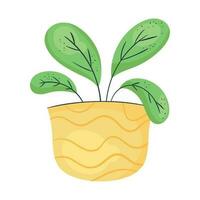 houseplant in yellow pot nature icon vector