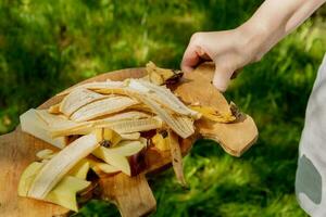 banana peel, apple bites on a cutting board, food waste photo