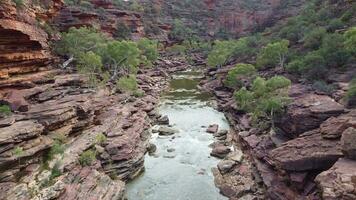 z pliez rivière occidental Australie video