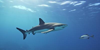 tiburón y peces en el Oceano ai generado foto