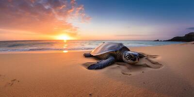 Tortuga en el playa a puesta de sol ai generado foto