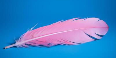 Pink feather is shown in blue background photo