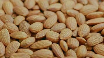 looped spinning almond close-up full frame background video