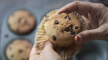 Woman's hand breaking muffin cake close up video