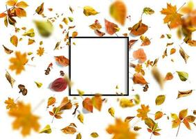 border frame of colorful autumn leaves isolated on white photo