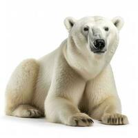 Polar bear isolated on white background, generate ai photo