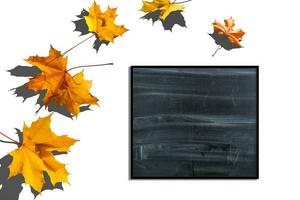 Autumn background with fall leaves. Black chalkboard in center with copy space for your text. Cozy Autumn Still Life. Back to School Concept. photo