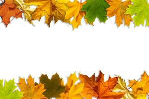 Autumn background. autumn leaves and frame for text photo