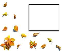 Autumn background. autumn leaves and frame for text photo