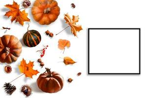 Autumn background. autumn leaves and frame for text photo