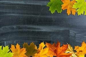 Autumn background with fall leaves. Black chalkboard in center with copy space for your text. Cozy Autumn Still Life. Back to School Concept. photo