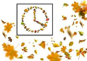 The watch dial from the leaves on a white background photo