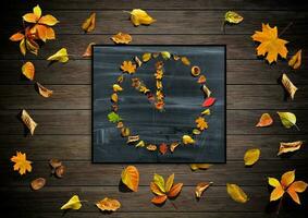 The watch dial from the leaves on a dark background photo