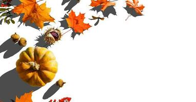 Autumn scene with pumpkins, Halloween or Thanksgiving background, copy space photo