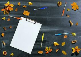 Back to school concept. Top view banner school bus and pencils next to tree sketch with autumn dry leaves over classroom blackboard background photo