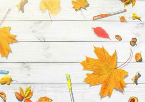 Back to school concept. Top view banner school bus and pencils next to tree sketch with autumn dry leaves over classroom blackboard background photo