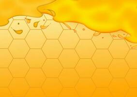 Honey label template for honey logo products with bee and drop of honey on Honeycomb colorfull pattern background photo