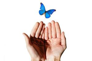 man's hand with a butterfly on the fingers of pulled up on white background photo