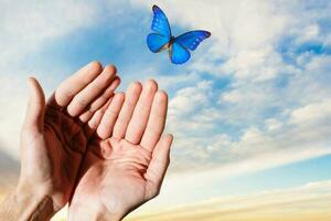 del hombre mano con un mariposa en el dedos de tirado arriba en contra el cielo antecedentes foto