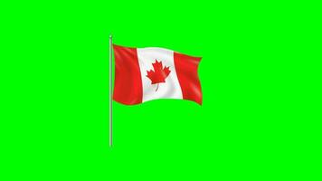 Canadá bandeira acenando animação 2d verde tela video