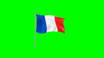France drapeau agitant animation 2d vert éboulis video