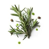 Fresh green organic rosemary leaves and pepper isolated on white background. natural transparent shadow, Ingredient, spice for cooking. collection for design, generate ai photo