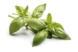 Fresh green organic basil and rosemary leaves isolated on white background, generate ai photo