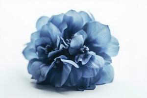 Blue flower isolated on white background, png with transparency , generate ai photo