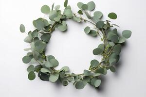 Wreath made of eucalyptus branches. Green floral frame made of eucalyptus leaves. Decorative wreath isolated on white. Minimal natural composition, botanical design, flat lay, top view. AI generated photo