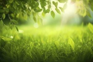 natural verde desenfocado primavera verano borroso antecedentes con luz solar. jugoso joven césped y follaje en naturaleza en rayos de luz de sol, escénico enmarcado, Copiar espacio foto