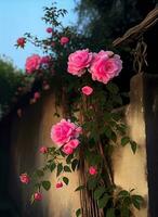 grupo de rosado rosas sentado en parte superior de un de madera cerca, generar ai foto