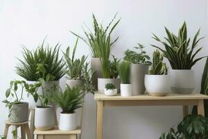 Green houseplants in pots and watering can on wooden table near white wall , generate ai photo