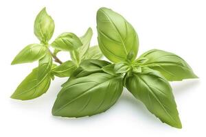Fresh green organic basil and rosemary leaves isolated on white background, generate ai photo
