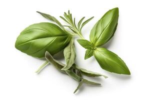 Fresh green organic basil and rosemary leaves isolated on white background, generate ai photo