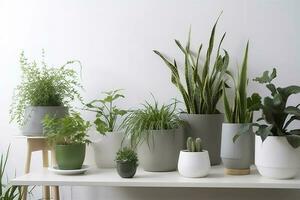 verde plantas de interior en ollas y riego lata en de madera mesa cerca blanco pared , generar ai foto
