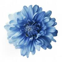 Blue flower isolated on white background, png with transparency , generate ai photo